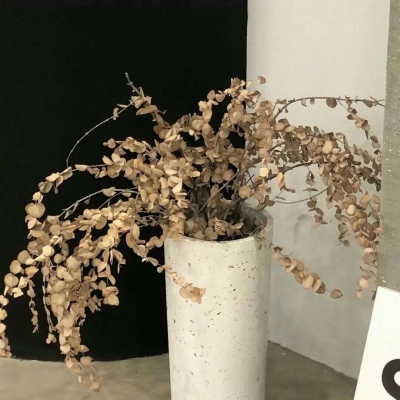 兽设质感表现技巧FurryQQ群